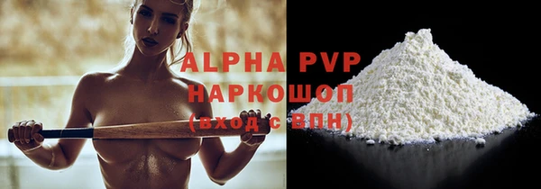 молекула духа Новозыбков