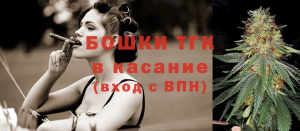 молекула духа Новозыбков