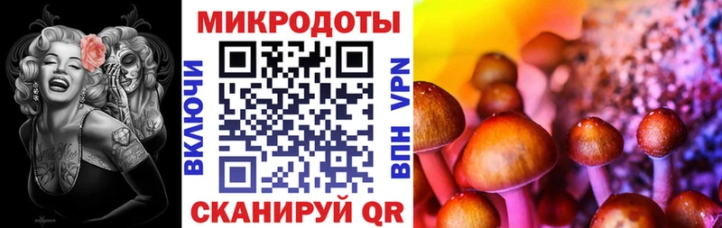 продажа наркотиков  Новотроицк  Псилоцибиновые грибы Magic Shrooms 